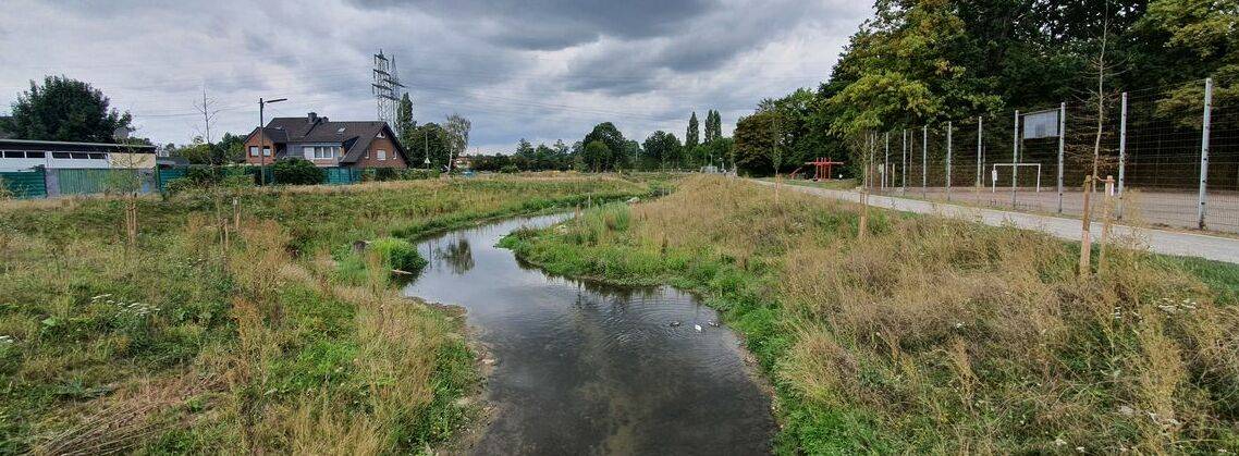  Die südliche Düssel ist das zentrale Motiv des Fotowettbewerbs „Klimaanpassung am Fluss - Biodiversität am Fluss“. 