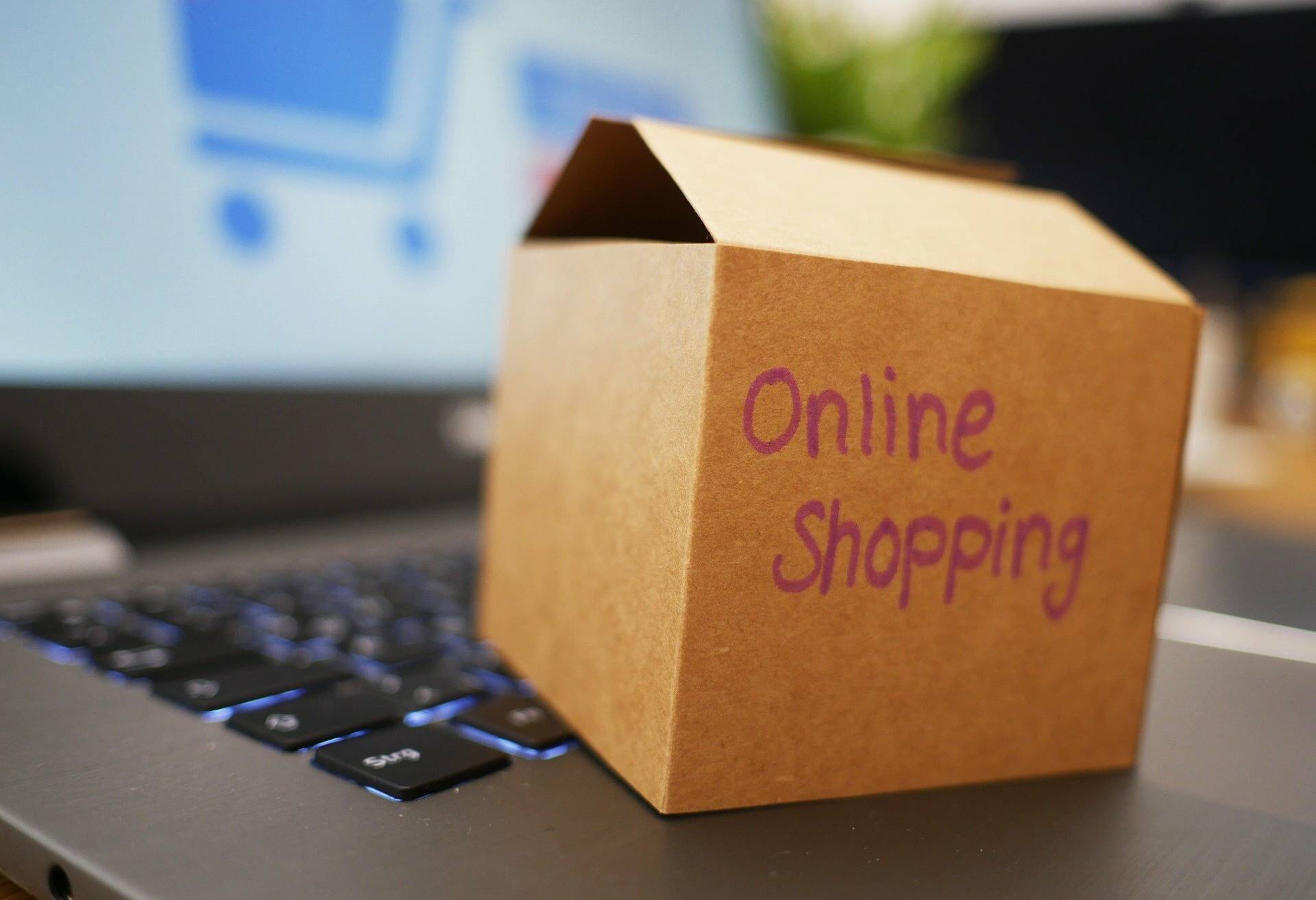 Online-Shopping beliebter denn je – dem Einkauf per Mausklick gehört die Zukunft! 