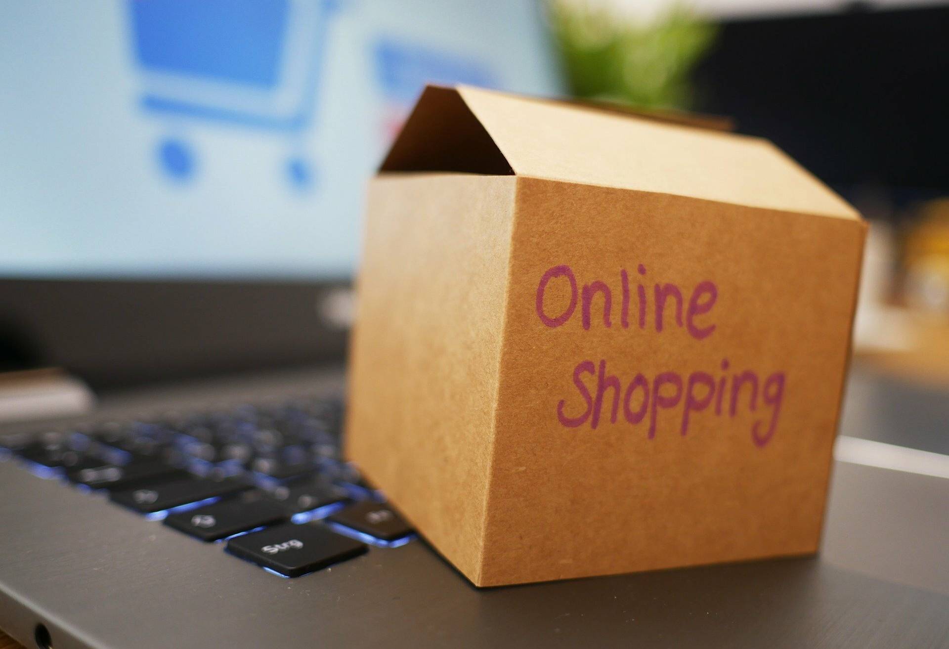 Online-Shopping beliebter denn je – dem Einkauf per Mausklick gehört die Zukunft!