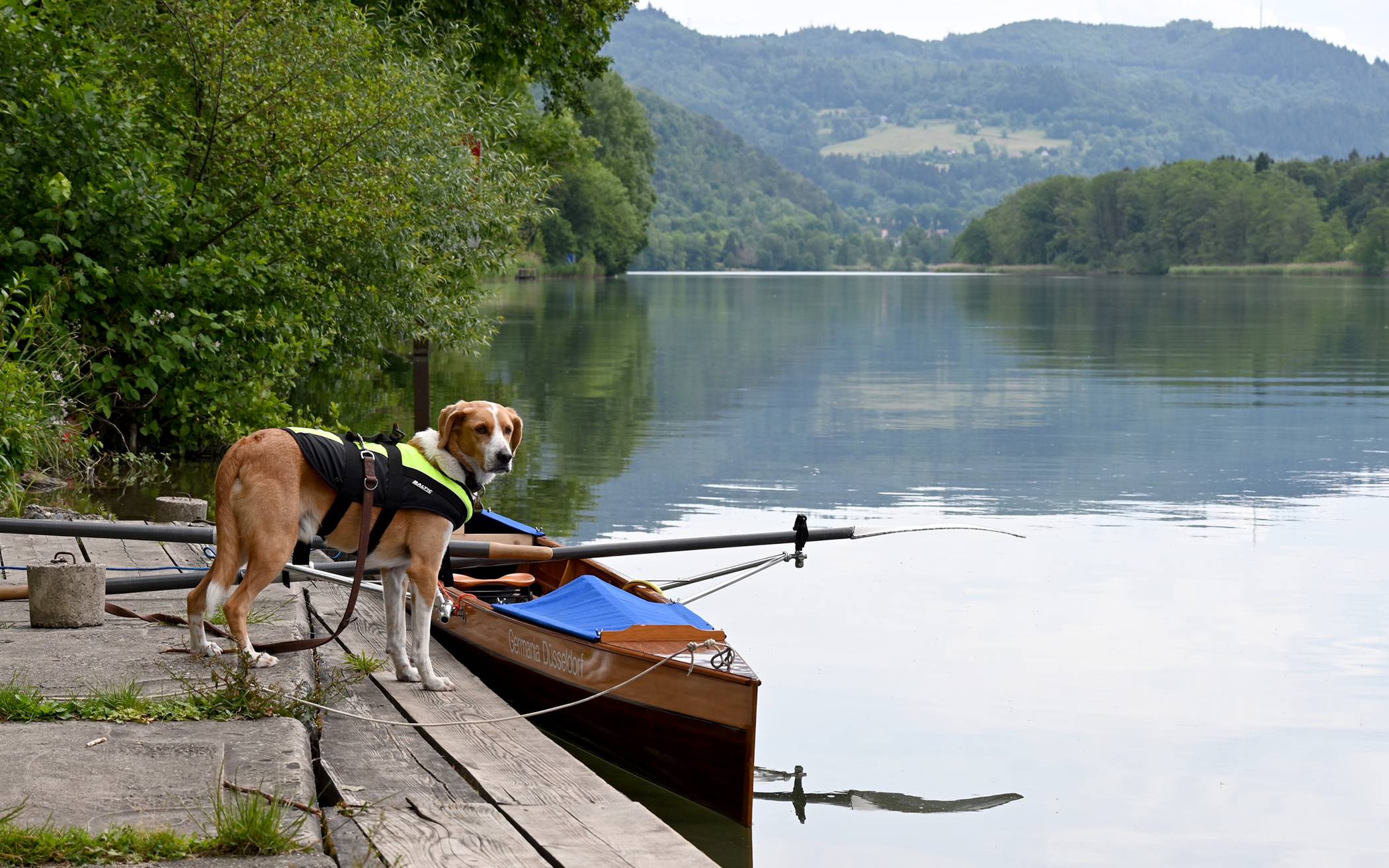 Einer mit Hund