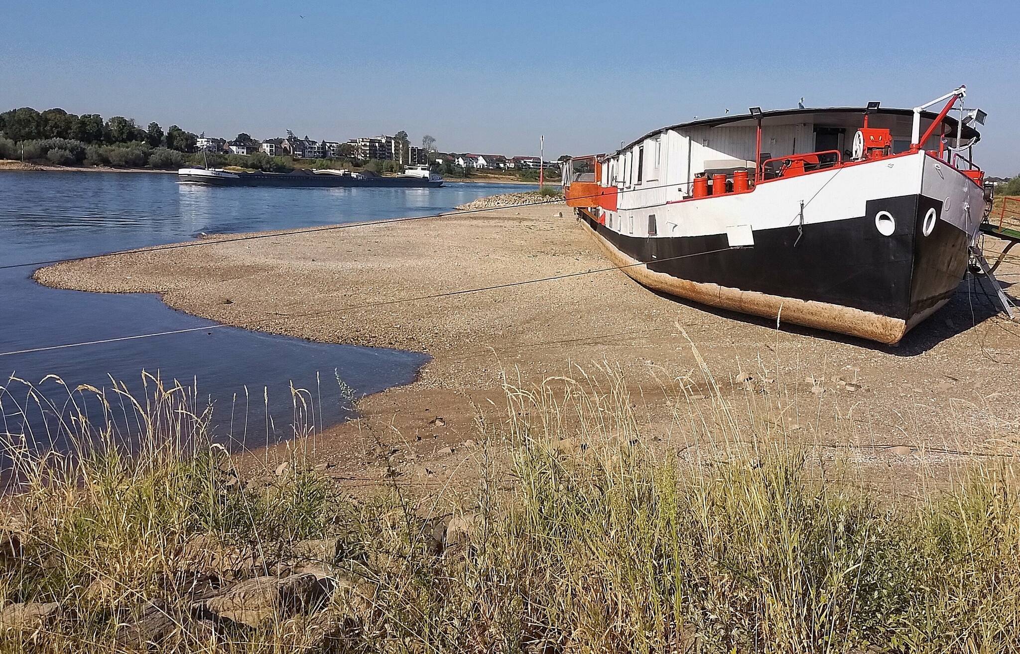 Der Rhein wird immer weniger