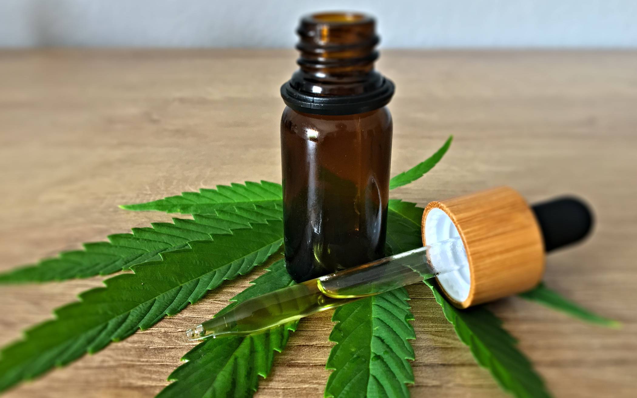  Die Ärztekammer Nordrhein in Düsseldorf spricht sich erneut gegen die von der Bundesregierung angetrebte kontrollierte Cannabis-Freigabe zum nichtmedizinischen Gebrauch aus.  