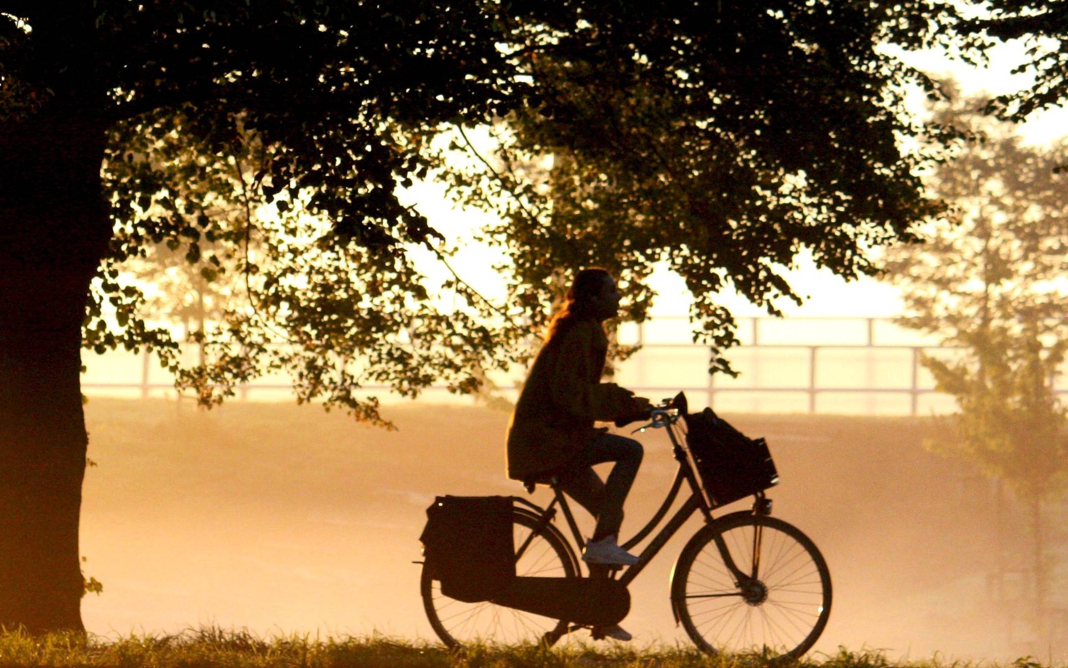   Mit dem Rad zur Arbeit - in puncto fahrraddfreundliche Unternehmen hat Düsseldorf laut dem ADFC Nachholbedarf.    