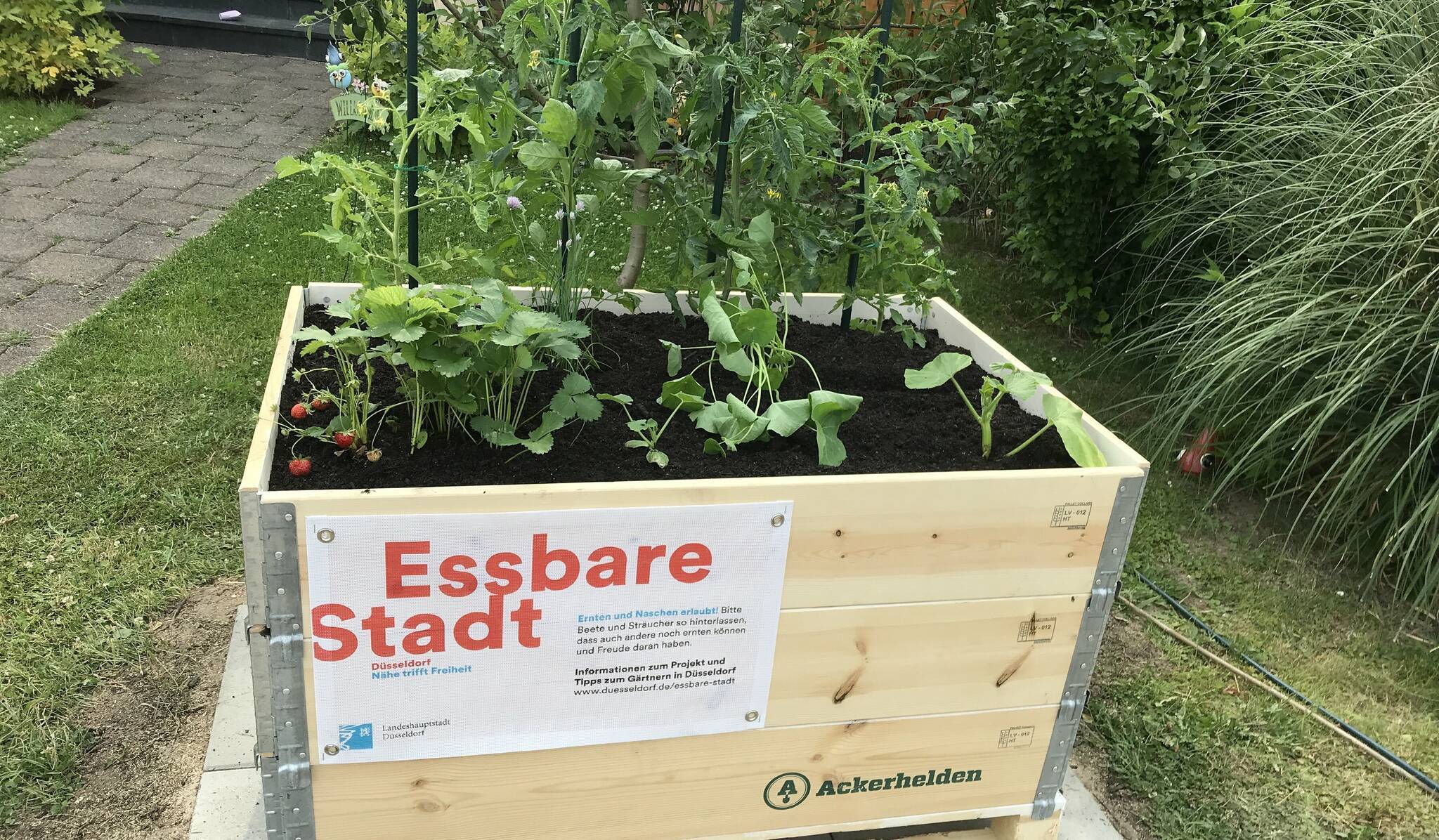  Im Zuge des Projektes „Essbare Stadt" besteht zum Beginn der Gartensaison im Frühling die Möglichkeit, ein „Bio-Hochbeet-Set" auf Bestellung anzufordern. 