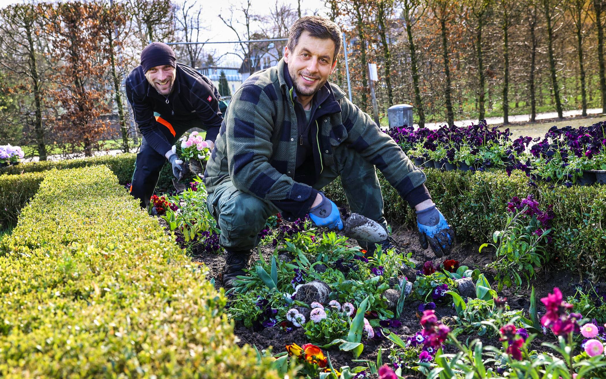 Farblich und im Wuchs werden die Blumen aufeinander abgestimmt. Die Stadtgärtner achten darauf, dass sich die Beetgestaltung gut in die Umgebung einfügt.