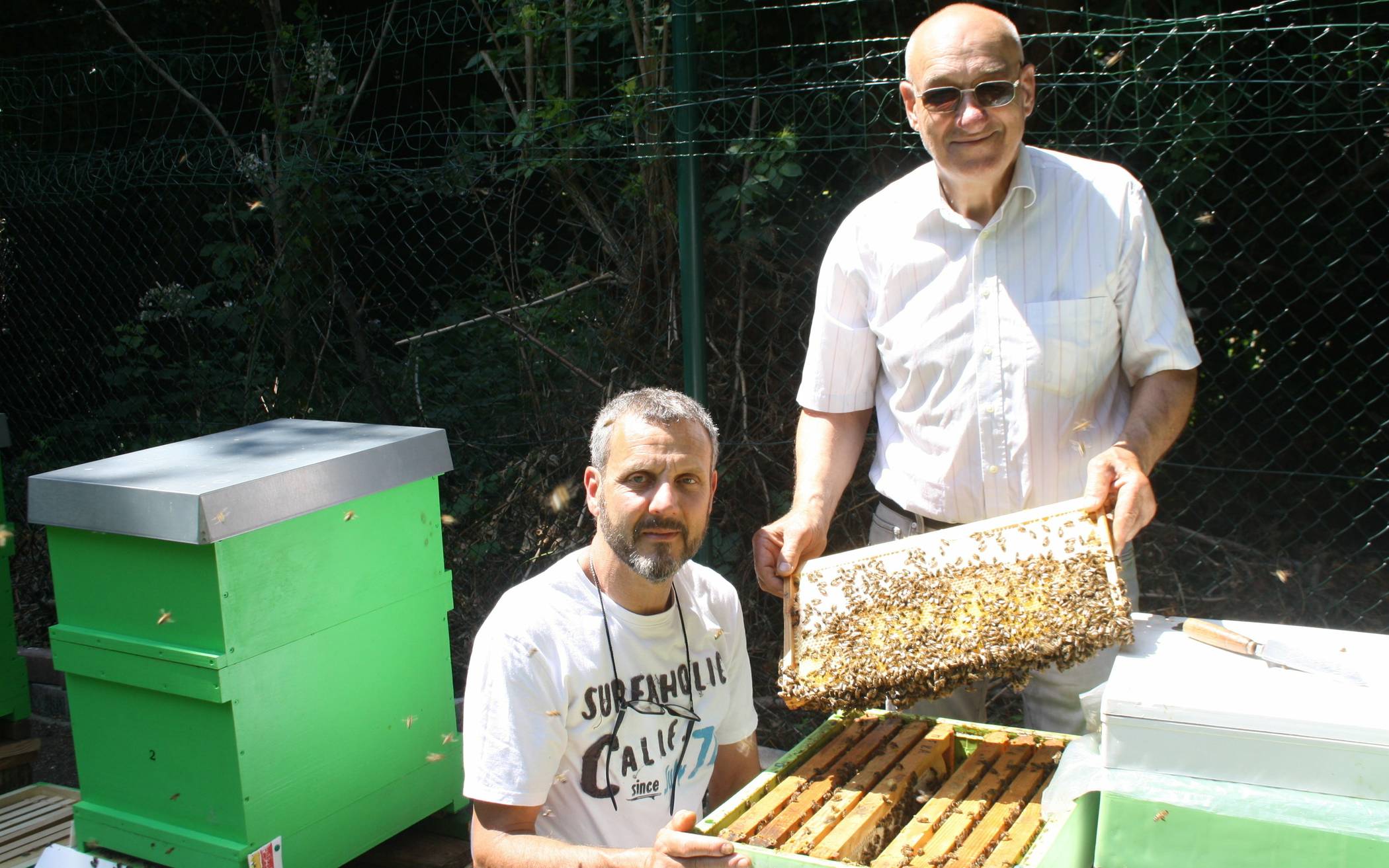 Passionierte Imker Kyriakos Chariopolitis (l.) und