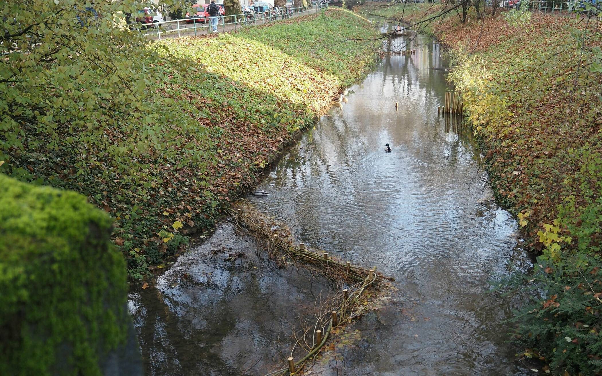 Klare Sicht - die Düssel in Bilk wurde entschlammt