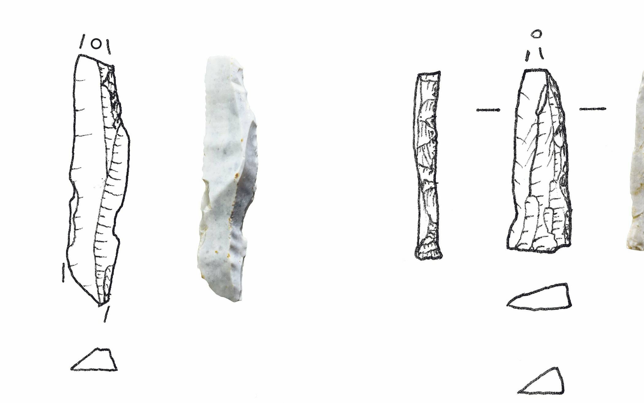 Detaillierte Zeichnungen von Fragmenten von rund 13.000 Jahre alten Pfeilspitzen aus Feuerstein, sogenannten „Federmessern“. 