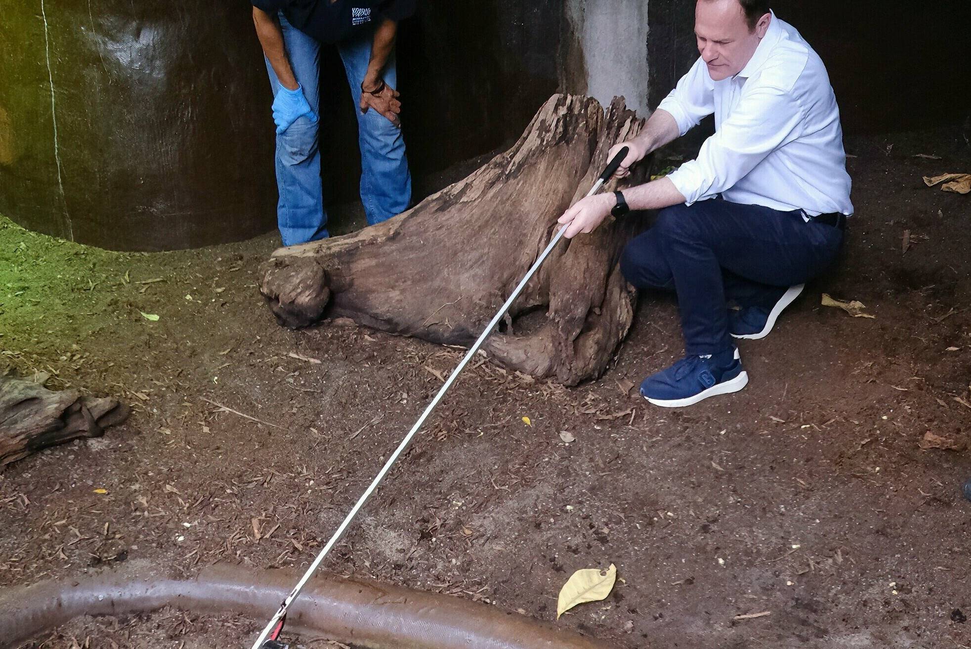  Oberbürgermeister Stephan Keller füttert „Old Lady“. 