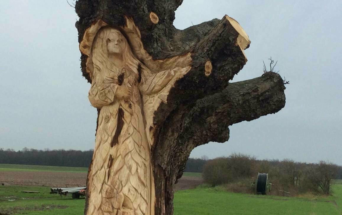  Die Baumgeist-Skulptur im Himmelgeister Rheinbogen direkt nach ihre Fertigstellung. Inzwischen ist auch der Kastanienstumpf morsch... 