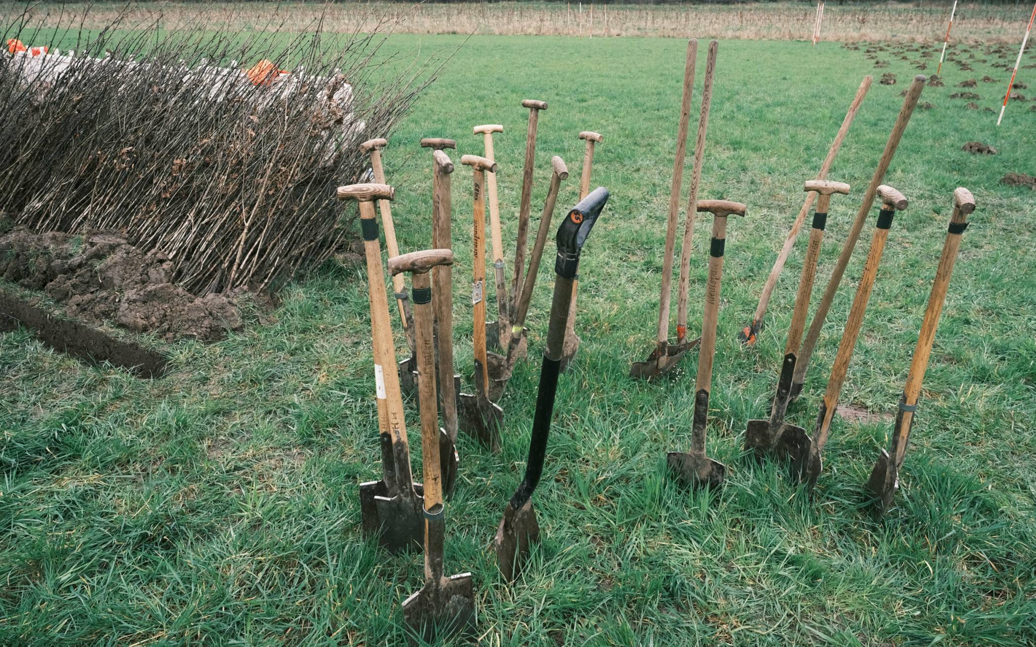 Im Anschluss an die vorbereitenden Arbeiten pflanzt die Stadt bis zum Frühjahr rund 20.000 standortgerechte Baumarten sowie verschiedene Waldsträucher.