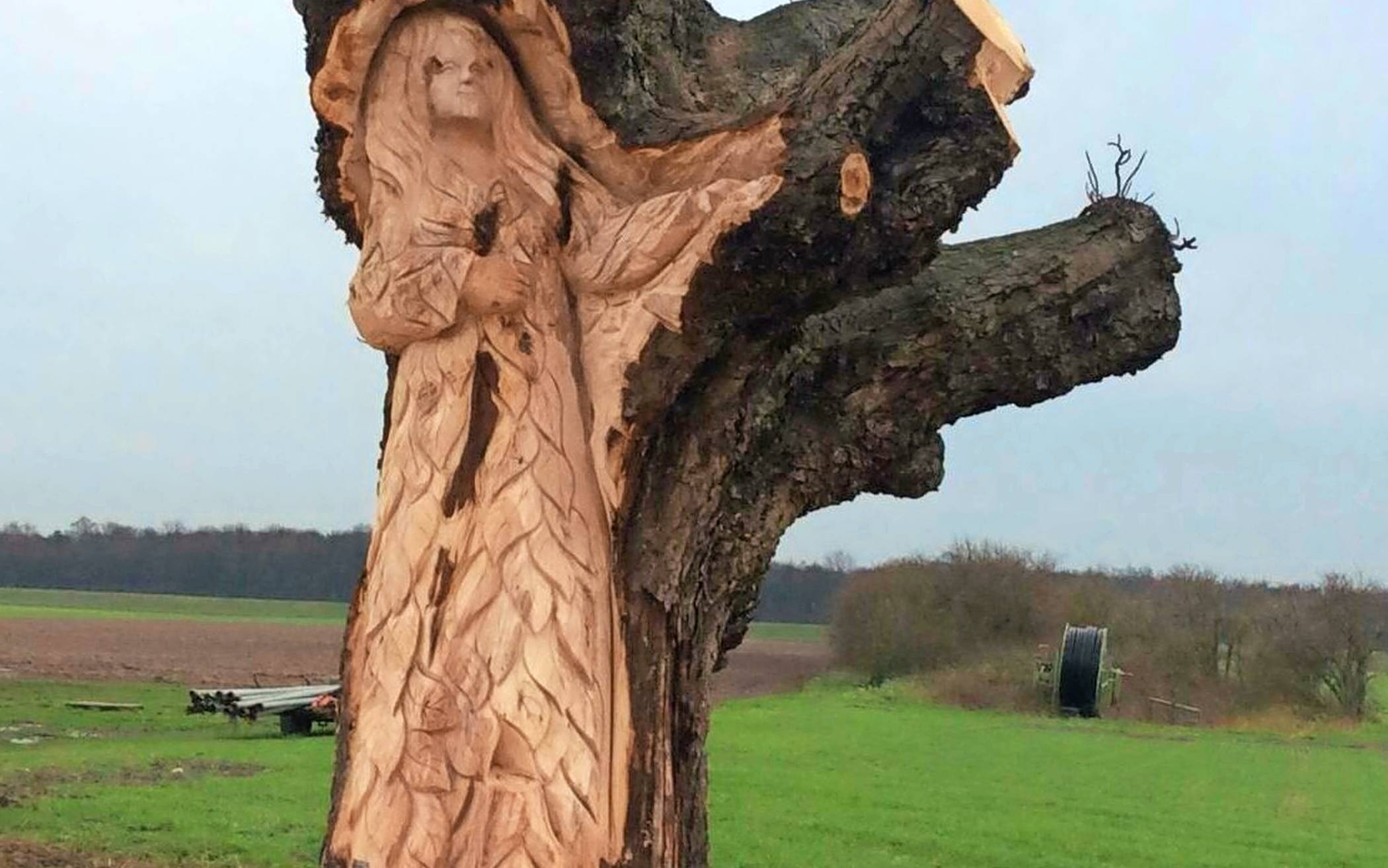 Der professionell geschnitzte Baumgeist im Stumpf der abgesägten Kastanie in der Himmelgeister Jücht ist ein Motiv mit Erinnerungswert im Stadtbezirk 9. Inzwischen ist auch der Rest des einst markanten Baums verschwunden.