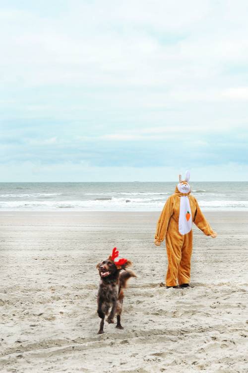 Wie feiern Düsseldorfer Weihnachten?