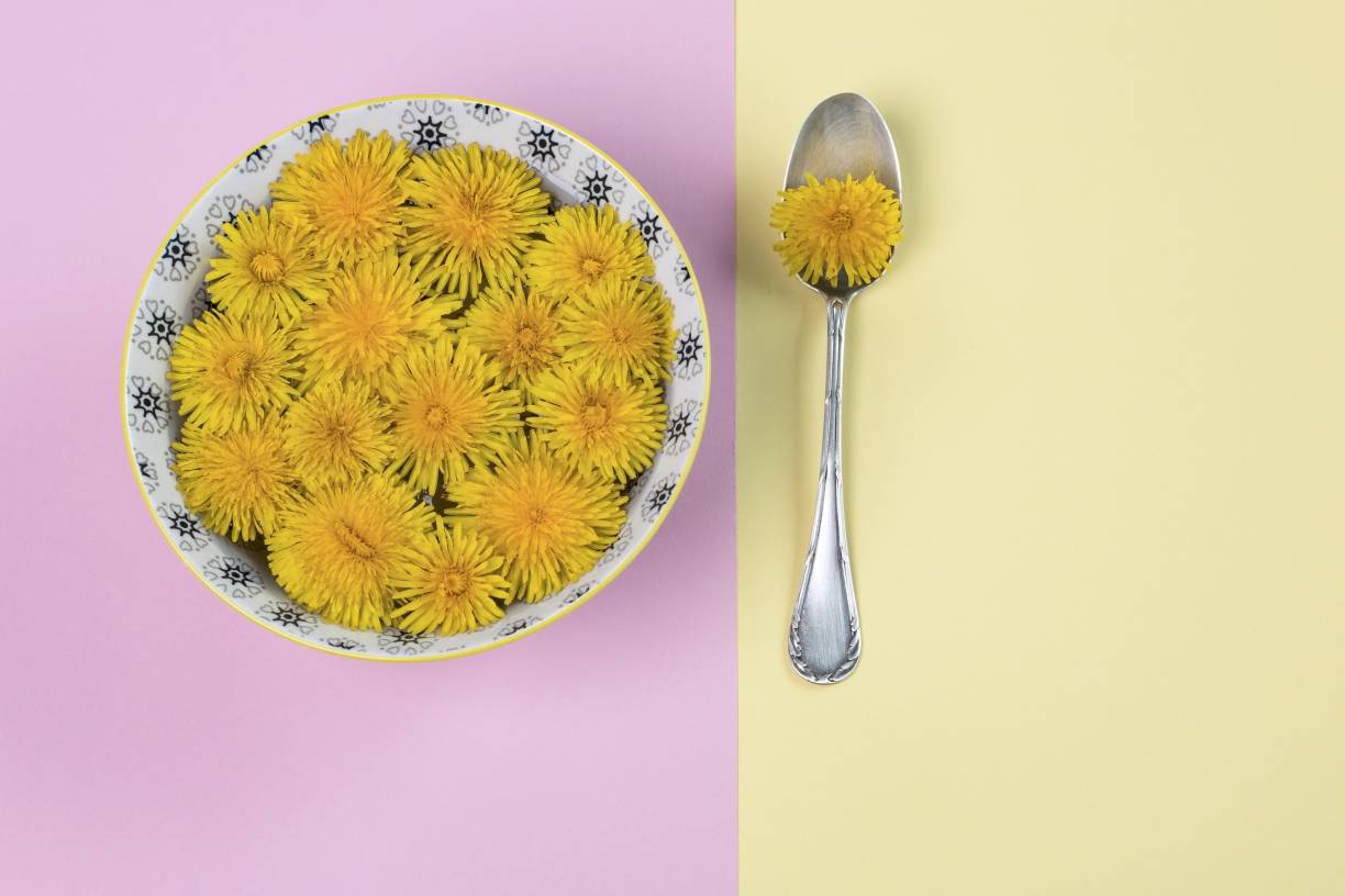  Ich ess’ Blumen, denn Tiere tun mir leid.  