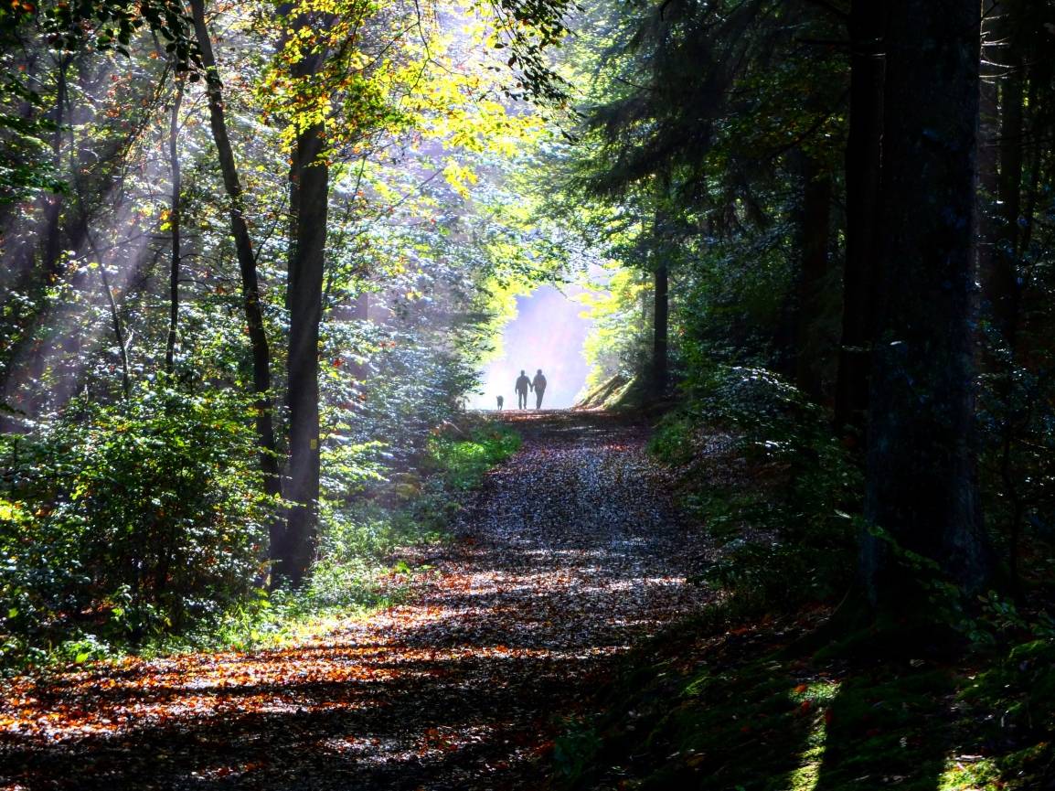 Wandern im Bergischen Land