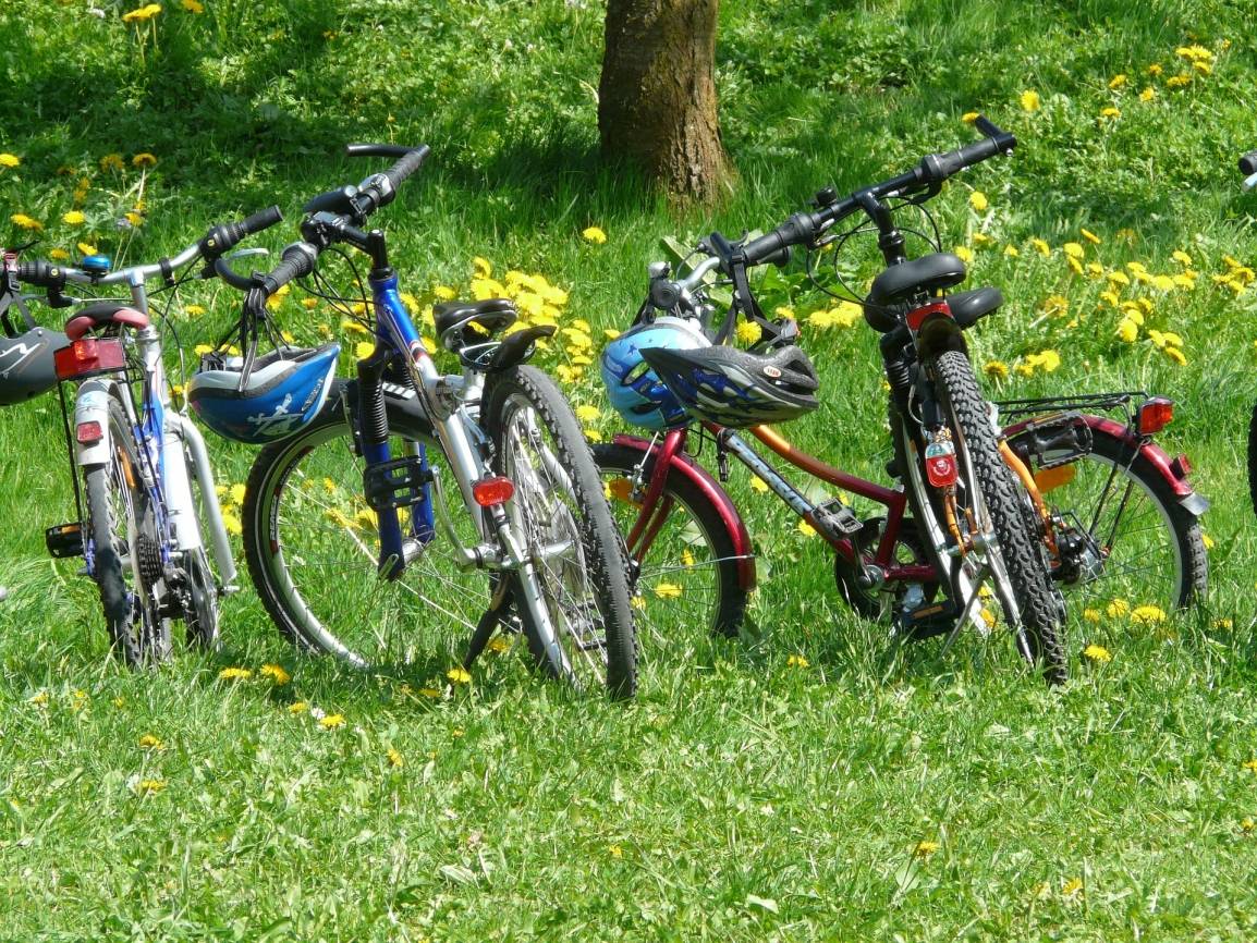 Geführte Radtour entlang der Düssel