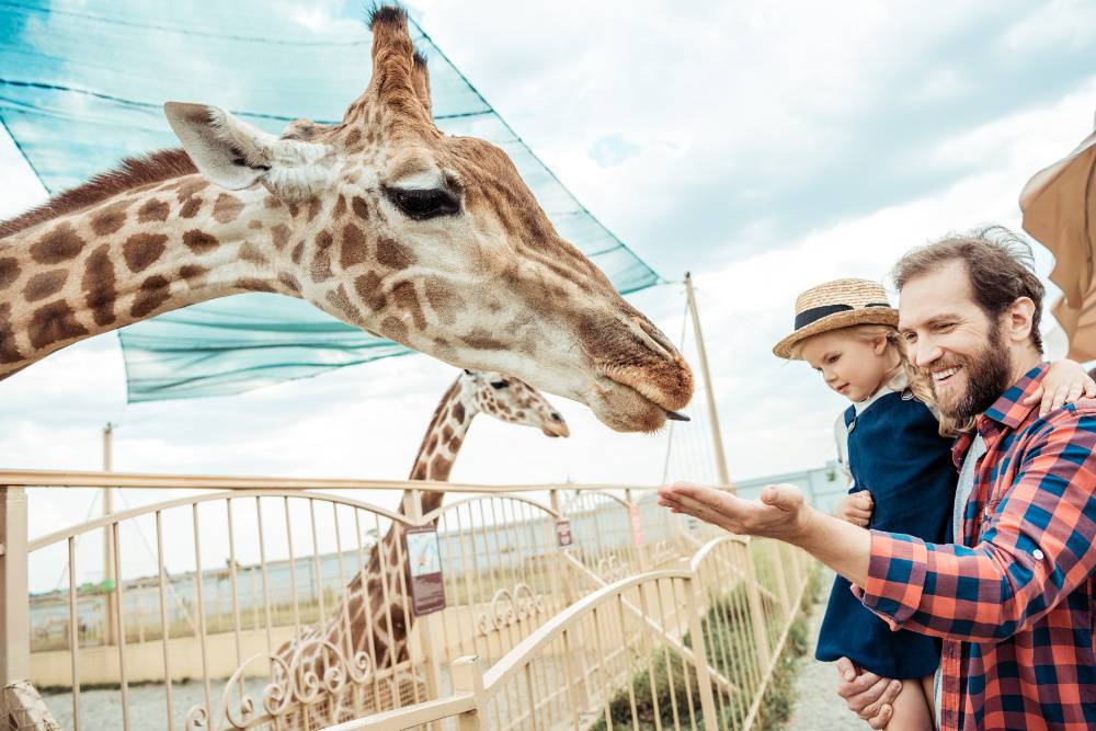 Zoos in NRW