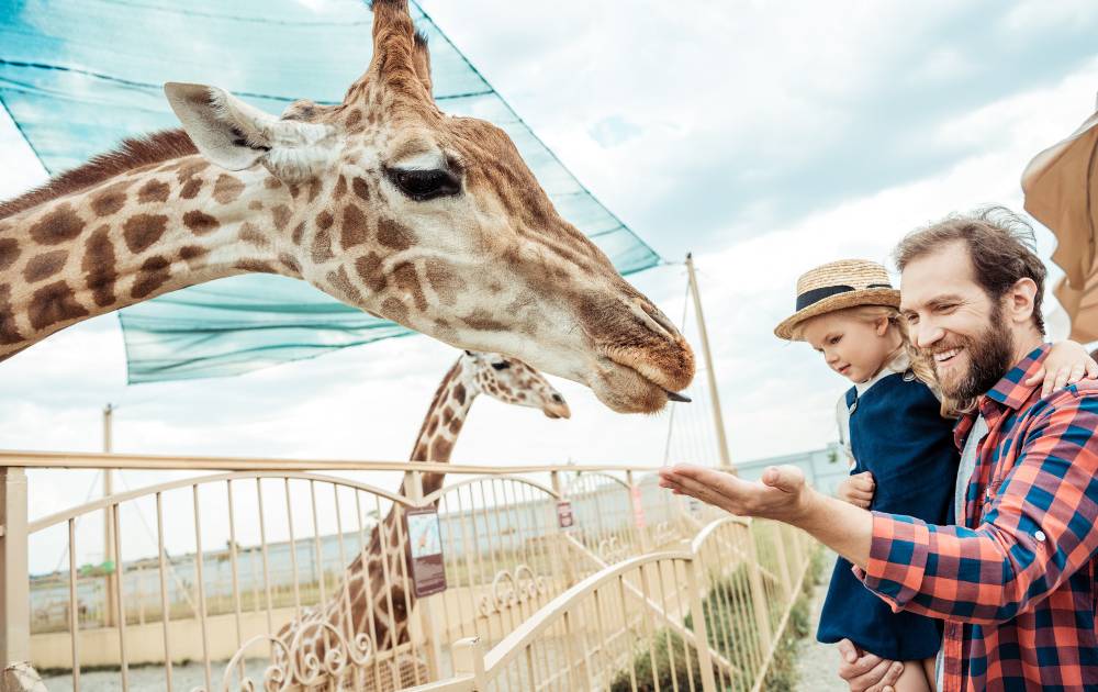 Die schönsten Zoos in NRW