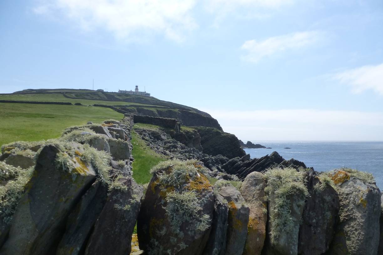  Auf dem Küstenpfad zum Leuchtturm/ Sumburgh Head. 