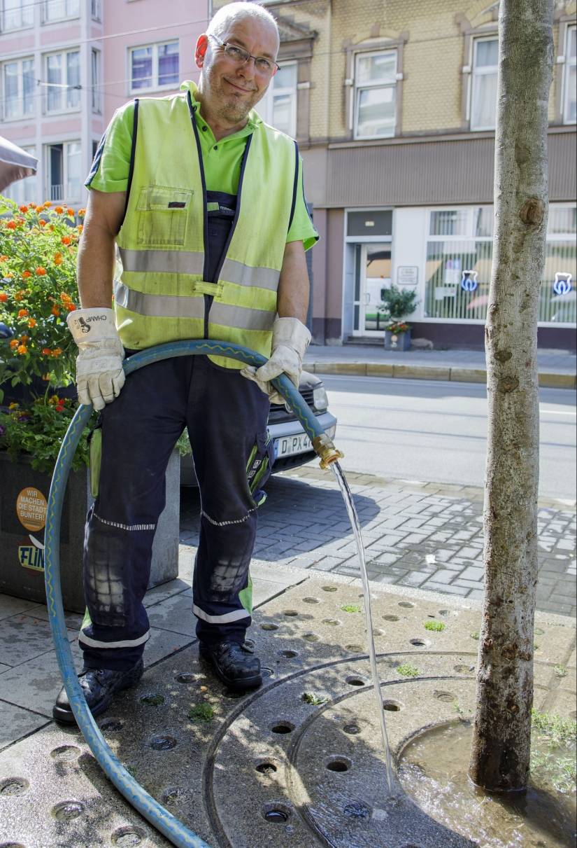 Stadtwerker gießen Jungbäume