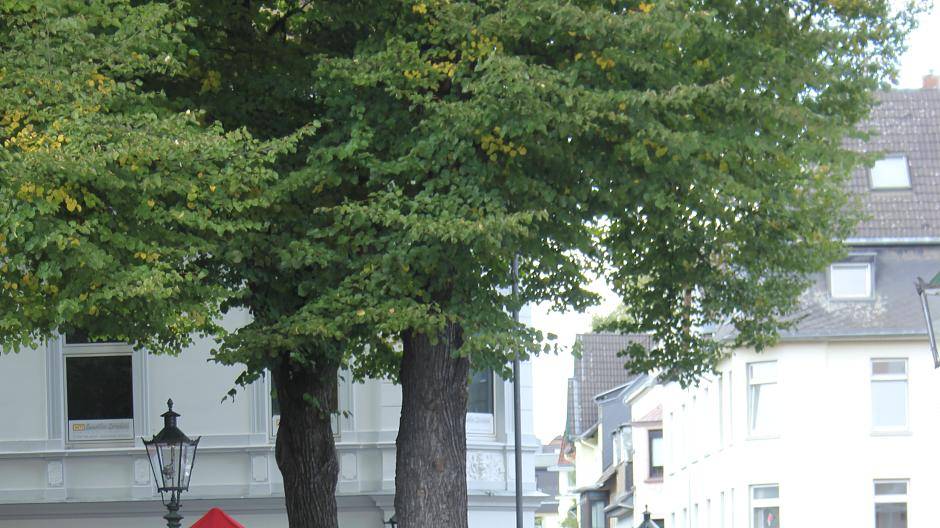 Auch nach dem Radschläger-Wettbewerb hatten manche Teilnehmer noch nicht...