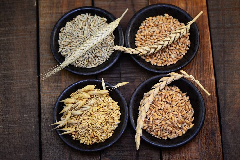 Allergien, Unverträglichkeiten &amp; Co — wieso gibt es sie und was kann man tun?