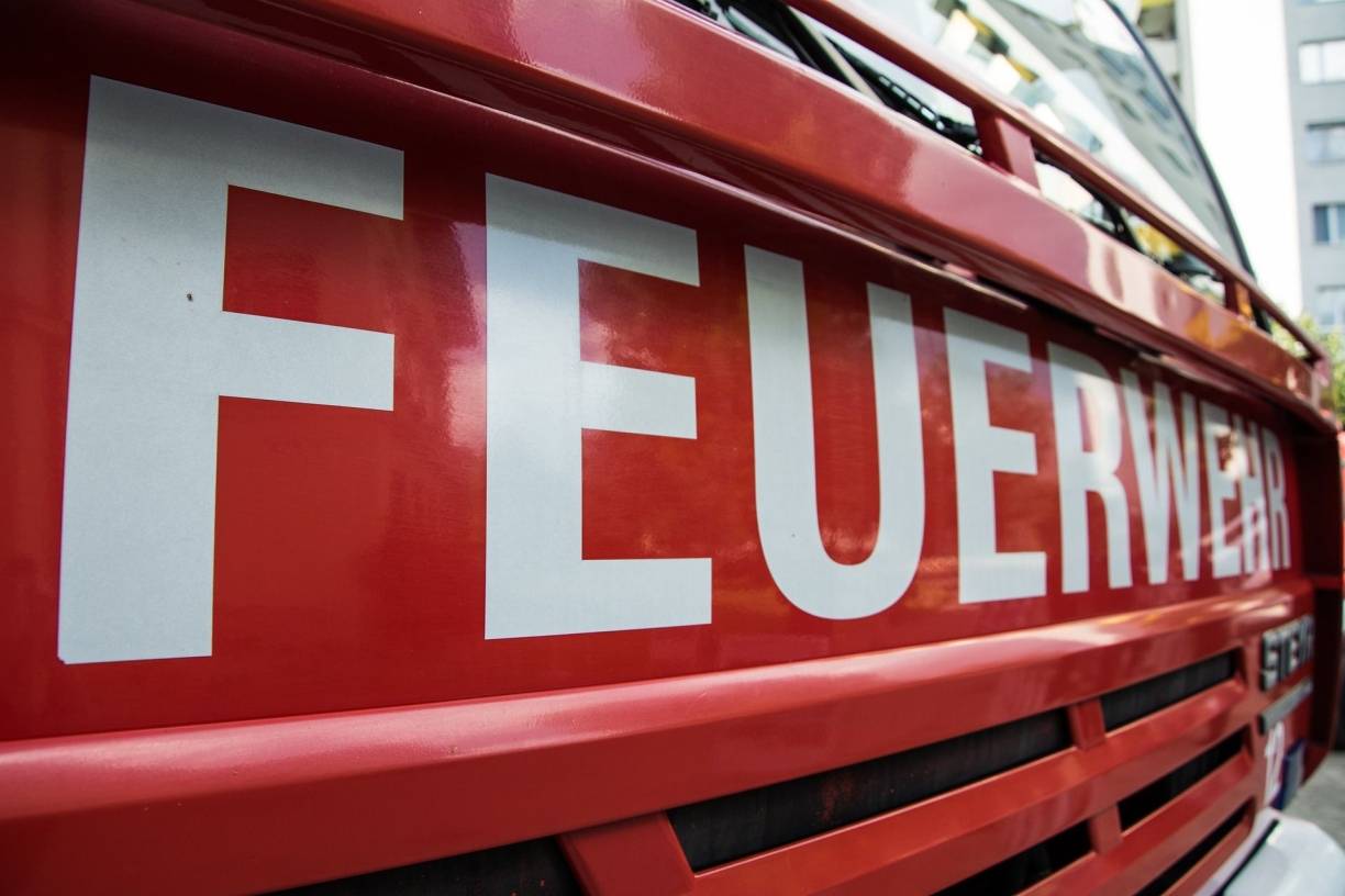 Feuerwehr fängt Kornnatter ein