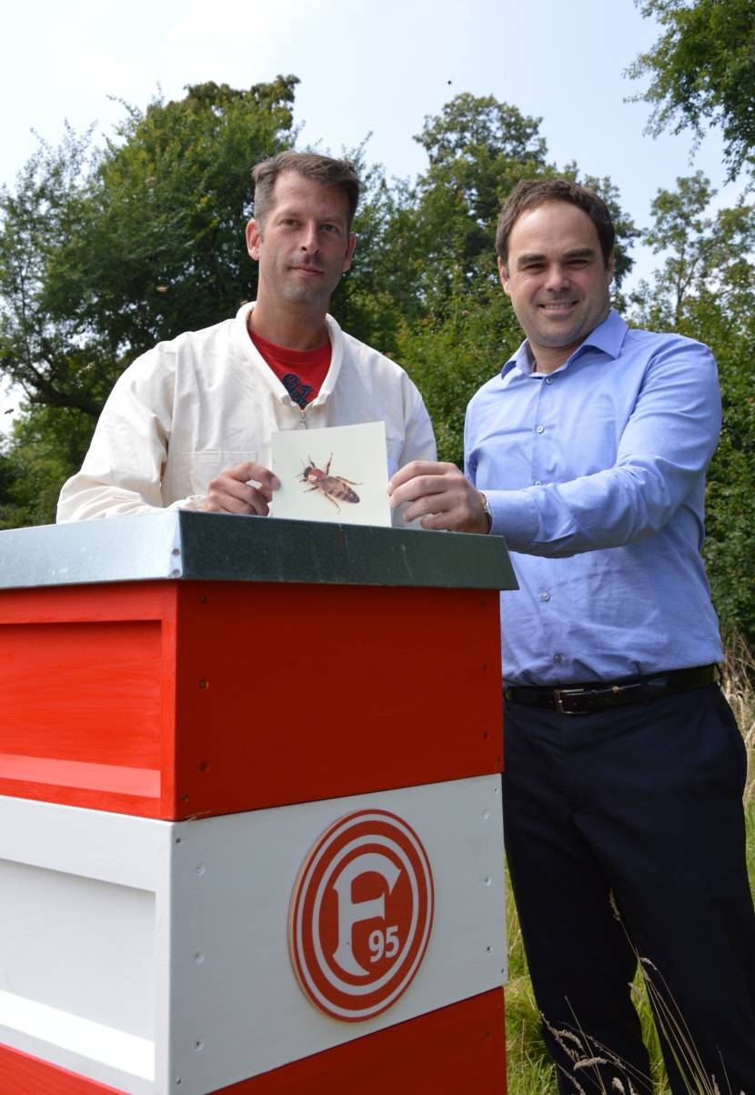  Setzten am Dienstag zwei Schwärme in ihre rot-weißen Stockwaagen im Nordpark: Bienenzüchter und Imker Jens Nießing (li.) und Robert Schäfer, Vorstandvorsitzender der Fortuna Düsseldorf.  