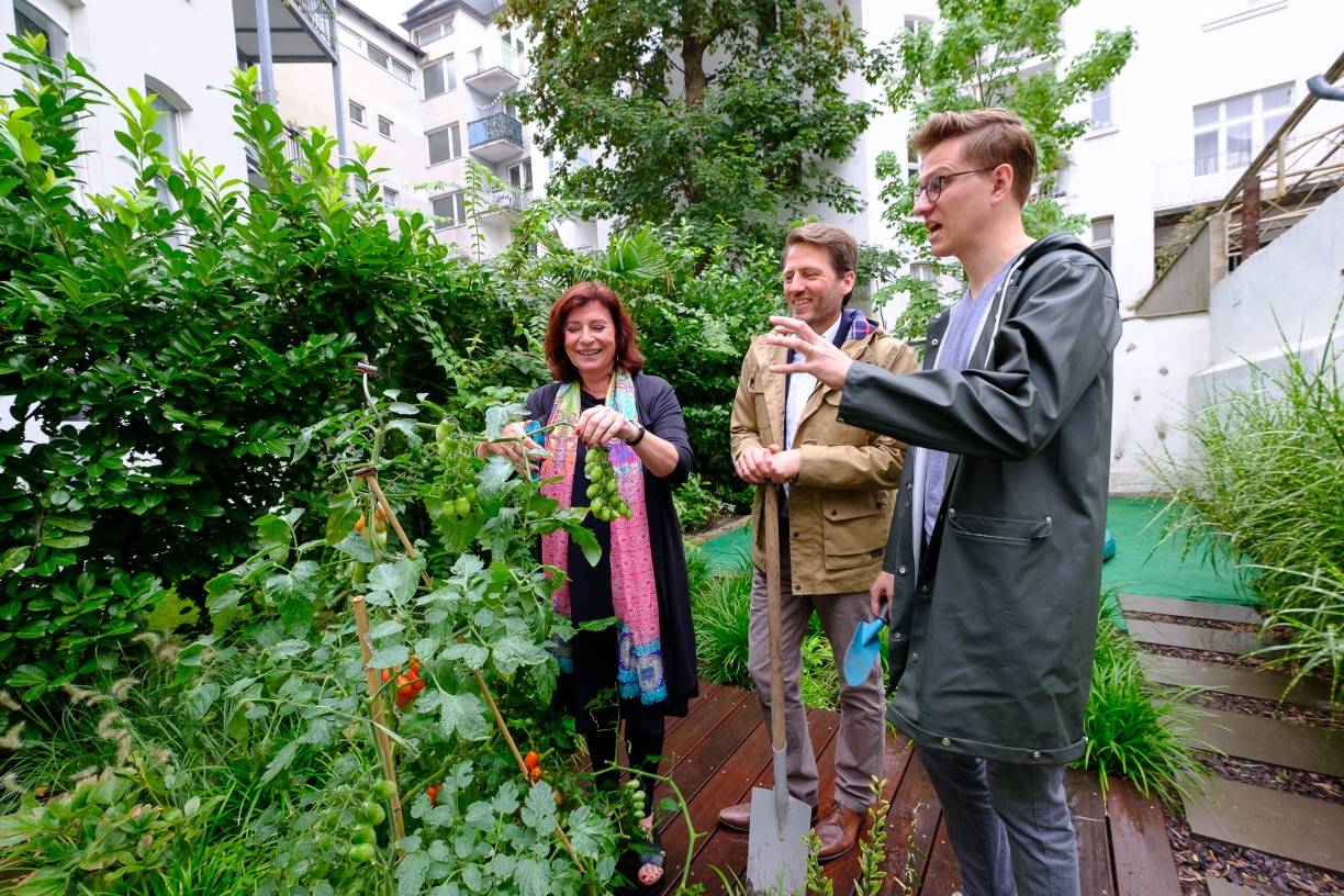 Eine grüne Oase im Innenhof