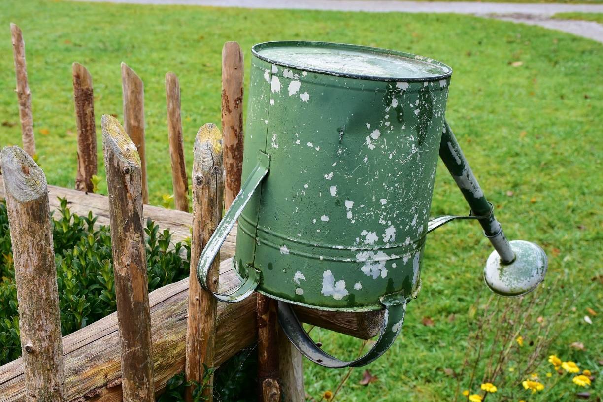  Wer helfen möchte, sollte dem Baum vor seiner Tür einmal wöchentlich sechs Eimer Wasser geben, das ist besser als einmal am Tag nur ein bisschen zu wässern. 