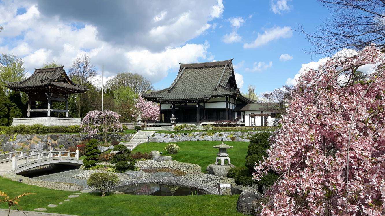 Japaner in Düsseldorf - wie offen ist das Miteinander?