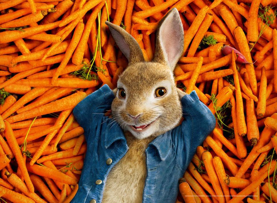  Nur echt im blauen Jäckchen: Peter Hase, der eigentlich ein Kaninchen ist. 