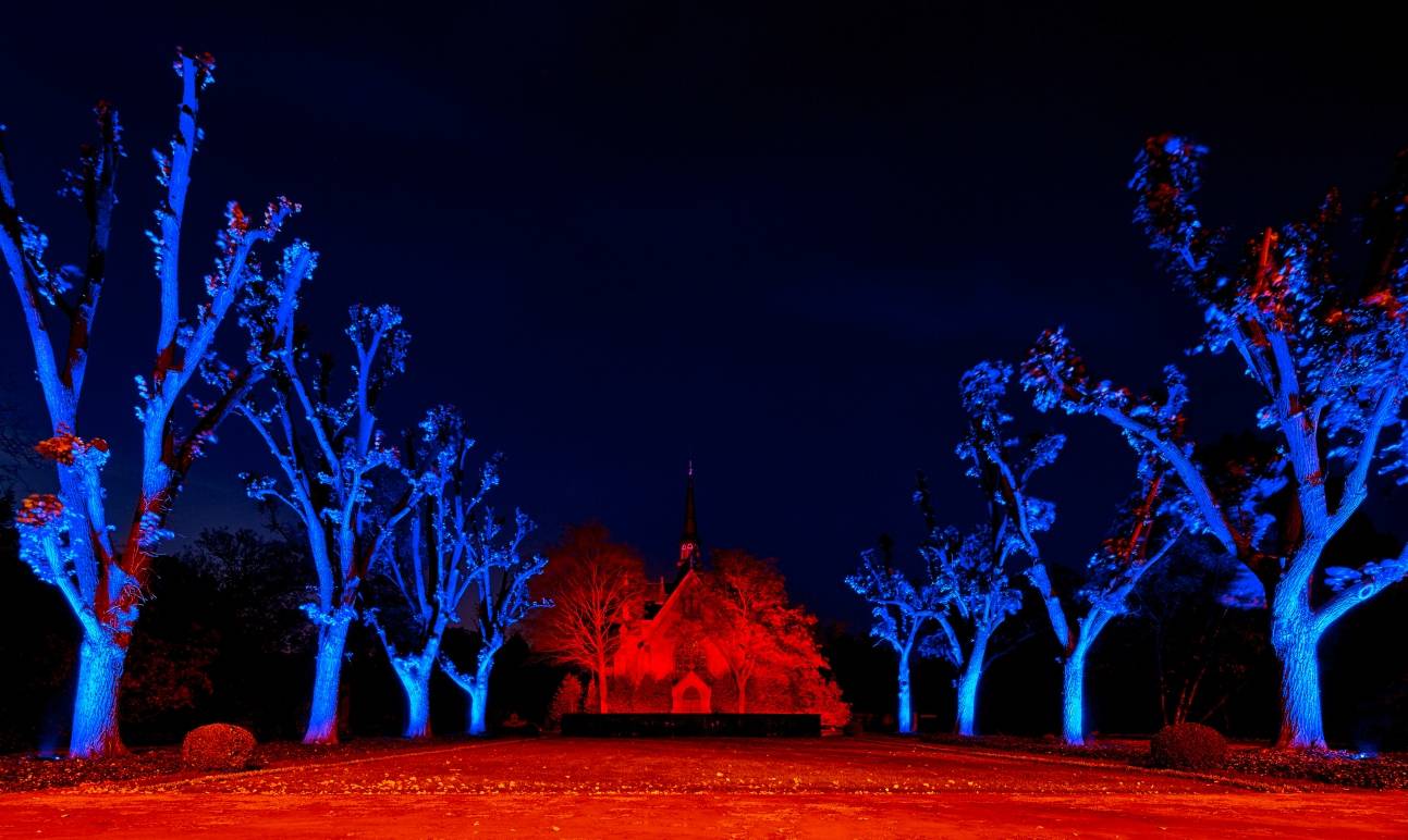 Zu Allerheiligen leuchtet der Nordfriedhof