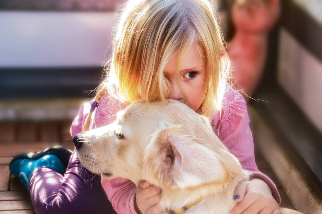  Das einjährige Golden Retriever-Mädchen Amy und Julie (5) sind unzertrennlich. Schmusen gehört für die Beiden zum festen Bestandteil des Tages. Julie sagt: „Amy ist toll, ich spiele so gerne mit ihr!“ Wir starten unsere Sommer-Serie „Unser Haustier und wir“.  