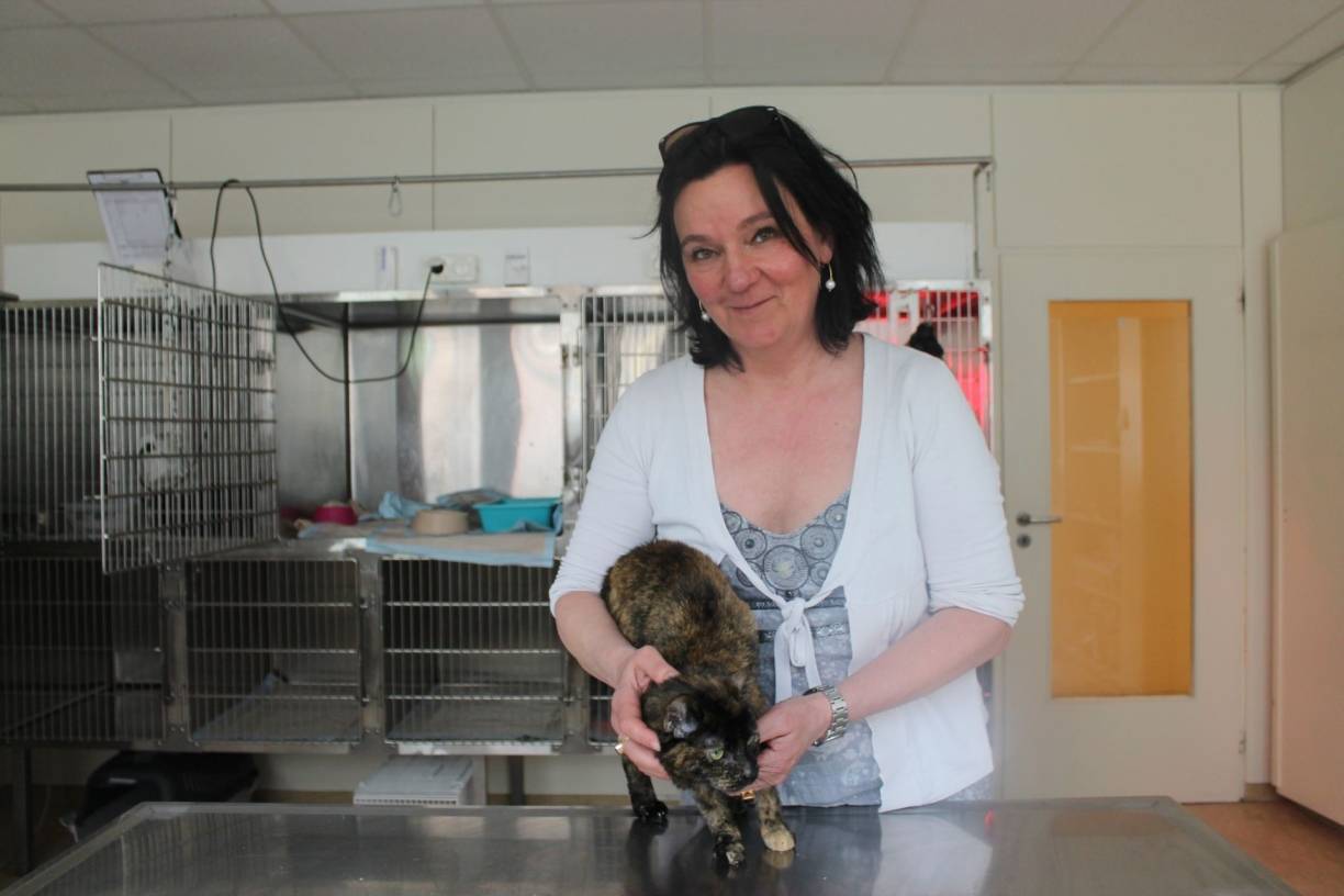  Krimi-Autorin Stefanie Koch nimmt die noch ängstliche Katze aus dem Tunnel bei sich auf. Sie hat sie Nell genannt. 