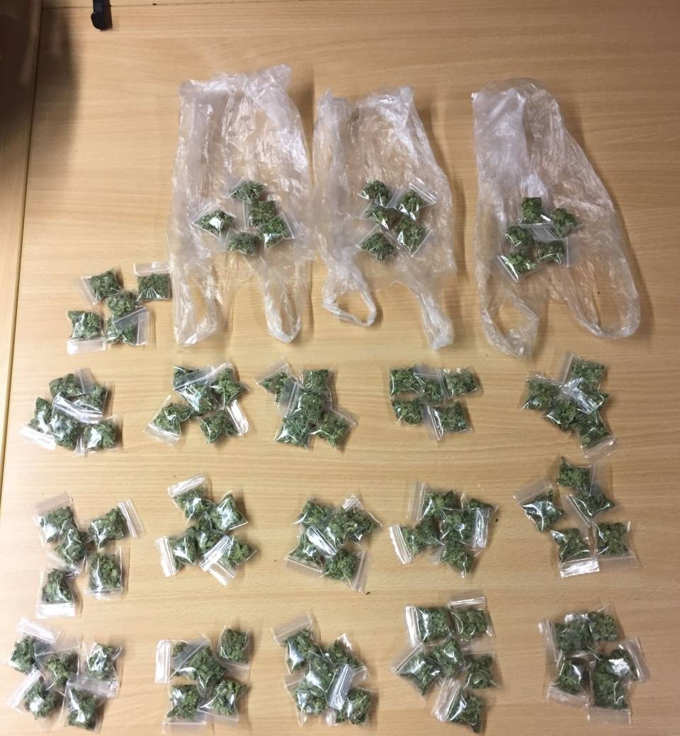 Dealer mit 96 Marihuana-Tütchen erwischt