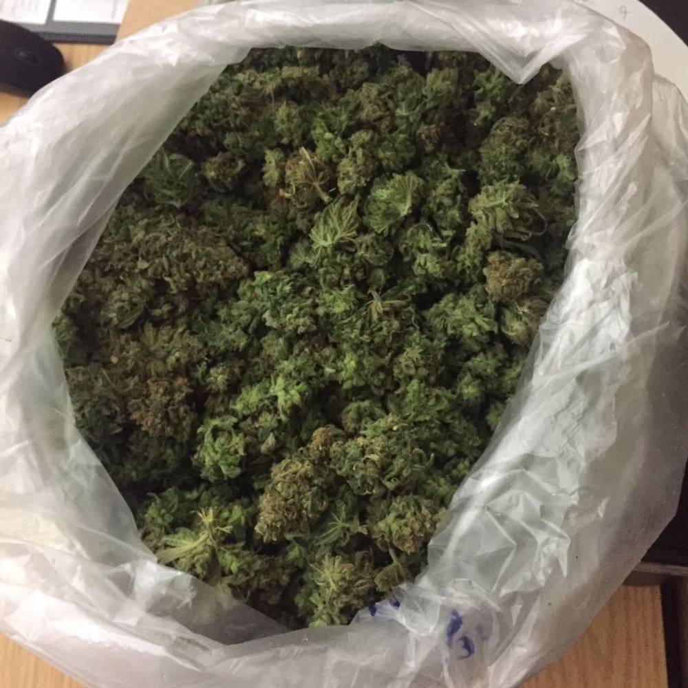  Das sichergestellte Marihuana.  