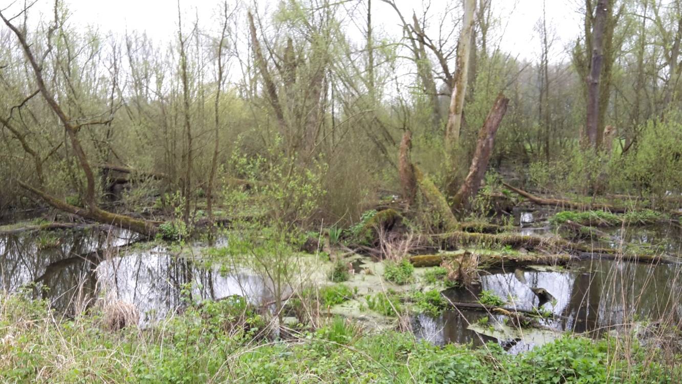 Aktuelle Einblicke in die Arbeit der Biologischen Station