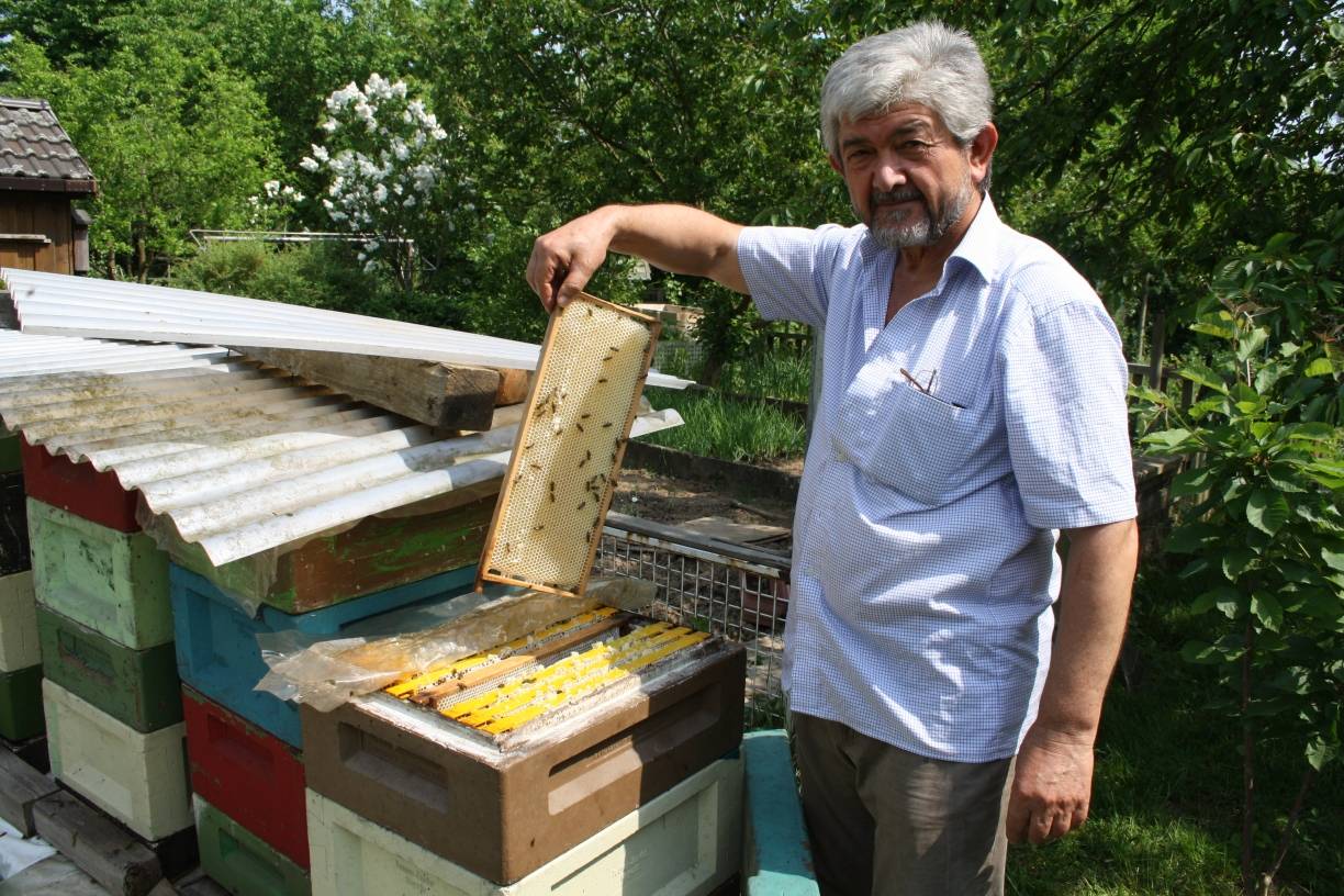  Hobby-Imker Mehmet Kay ist Herr über 15 Bienenvölker. 