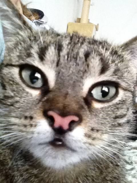  Schnuki kann Selfie. Dafür gibt's eine eigene App. 