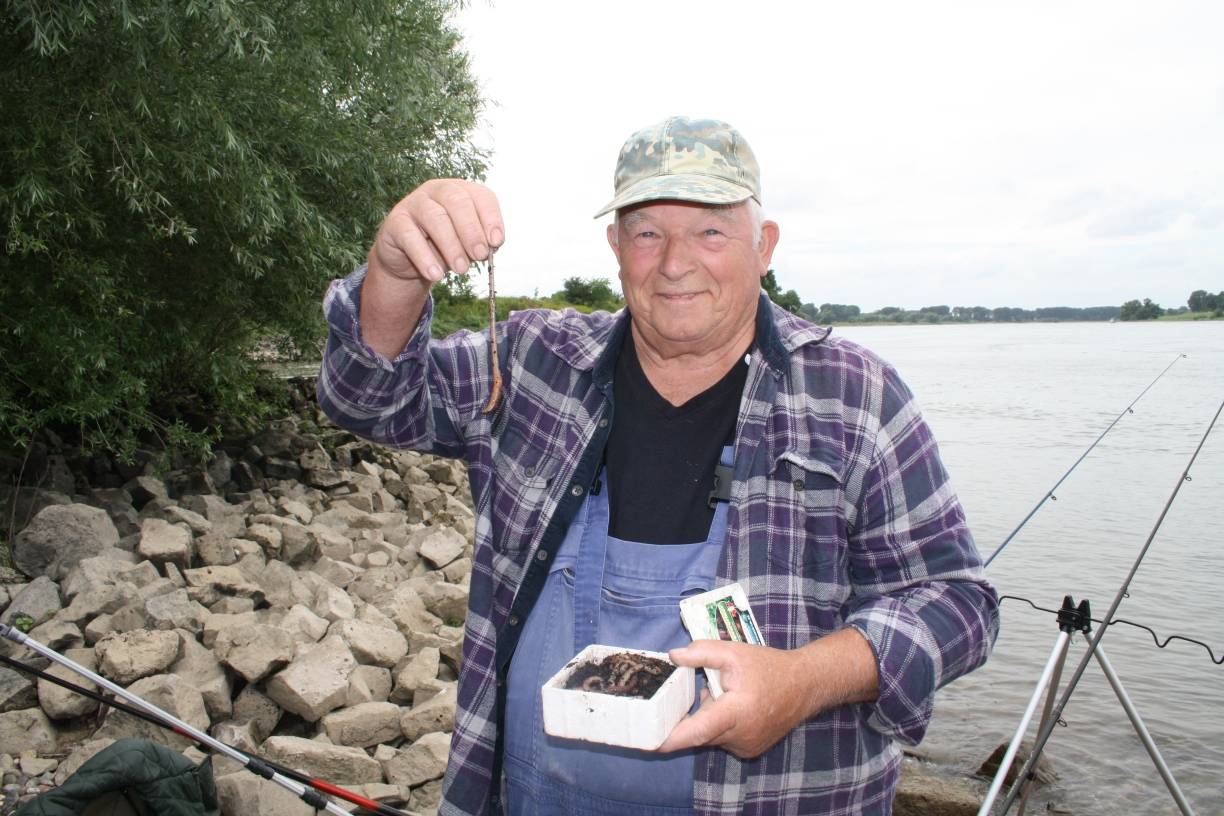  Eine Portion frische Regenwürmer hat Angler Ulrich Lerch immer mit dabei. Denn damit lassen sich Raubfische wie Zander und Hechte anlocken.  