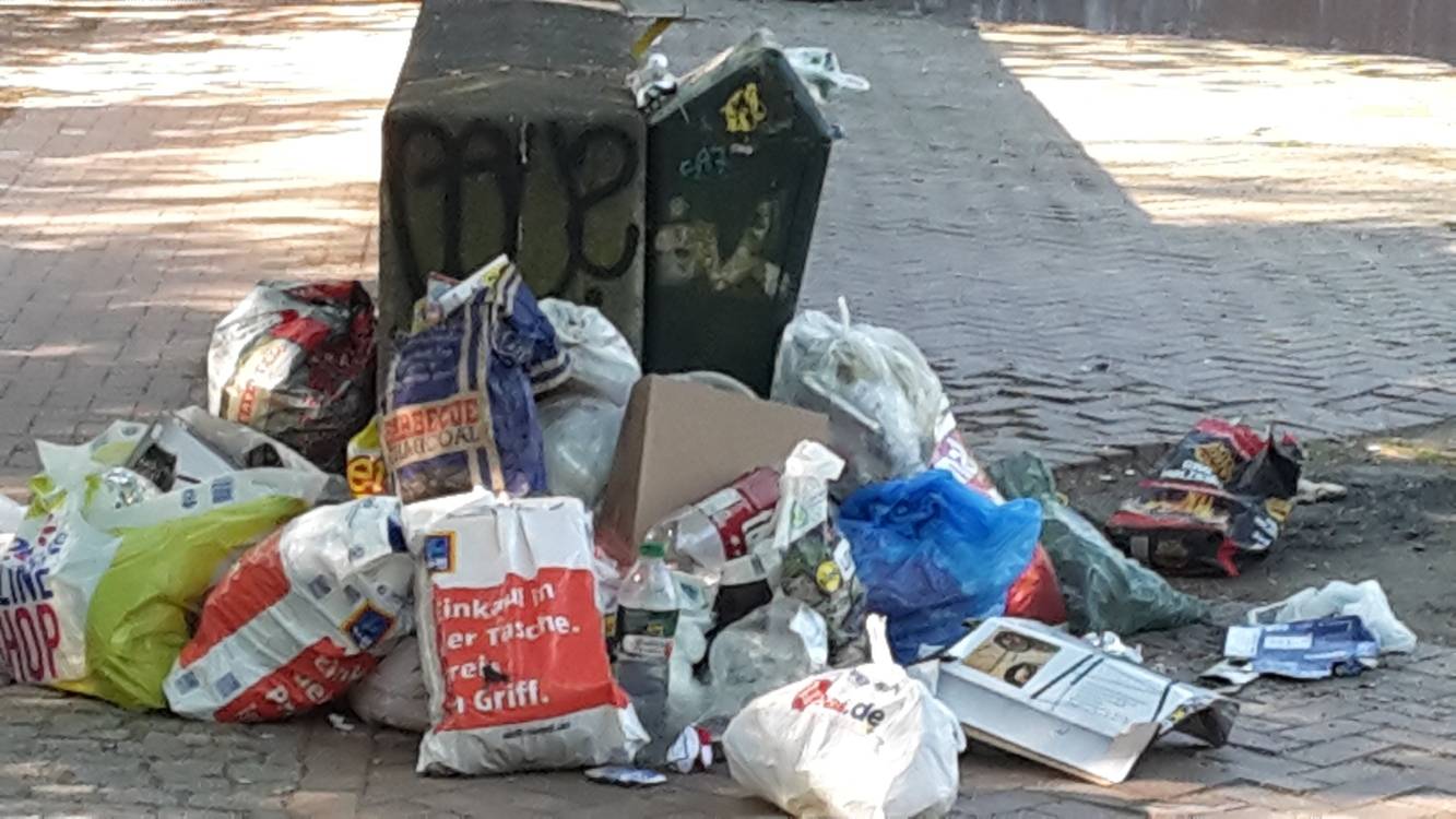  Sonntagmorgen im Südpark. 