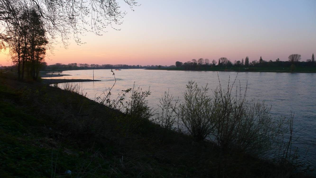  Ein toller Ausblick auf den Rhein am Mönchenwerth 
