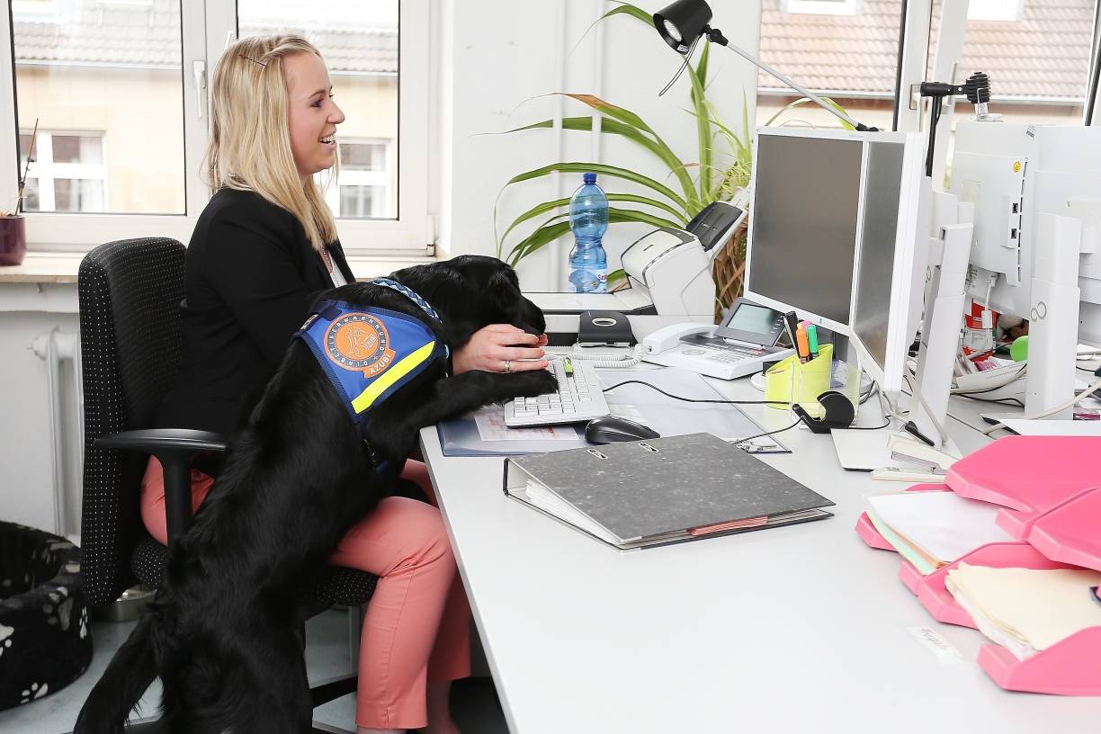  Ausnahme von der Regel: Azubi Anton sitzt normalerweise brav neben dem Schreibtisch von Carolin Schwarz. Aber viele neugierige Journalisten bringen auch den diszipliniertesten Jung-Hund zum Spielen. 