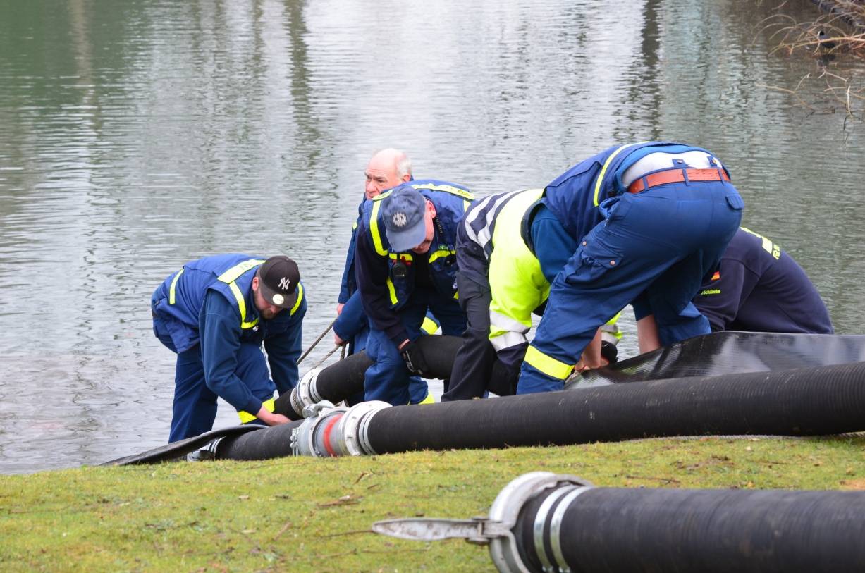  Das Technische Hilfswerk (THW) und die Feuerwehr pumpten am Freitag und Samstag das Wasser aus dem Teich. 