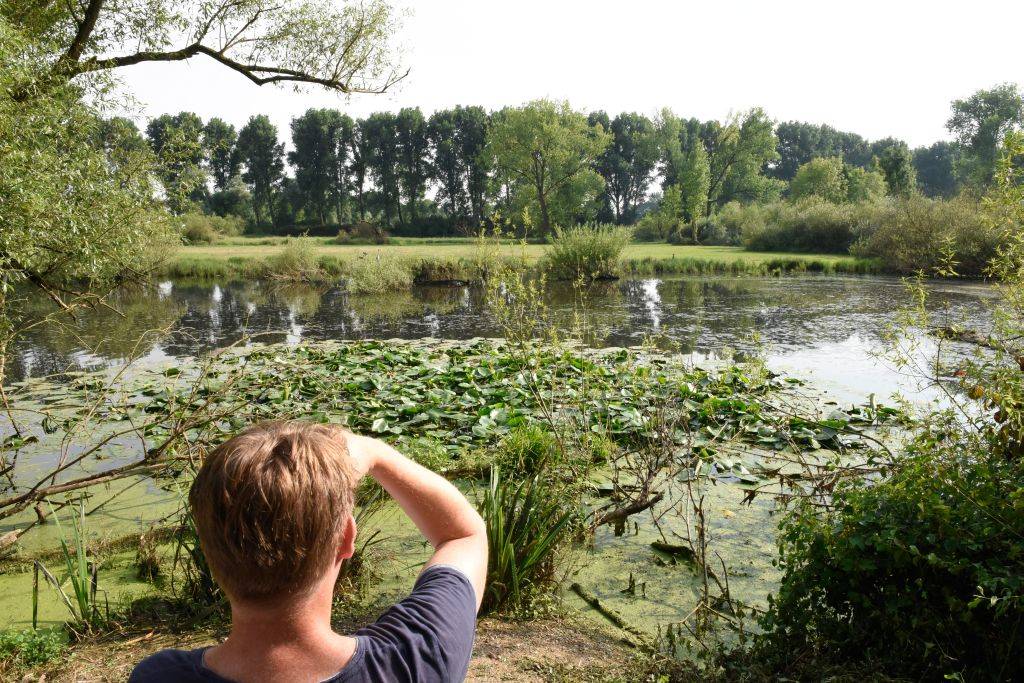 Auf Dschungel-Tour durchs Auenland