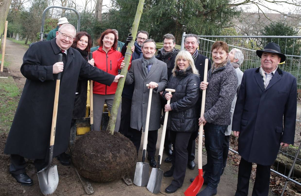  Fünf neue Linden wurden jetzt auf dem alten Golzheimer Friedhof gepflanzt. 