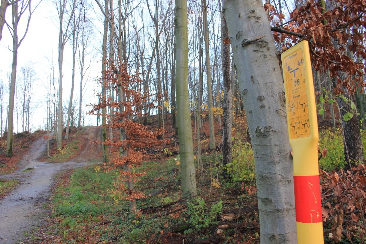  Am beliebten Wanderweg Aaper Schneise verläuft unterirdisch die Ferngasleitung, die nun erneuert werden muss. 