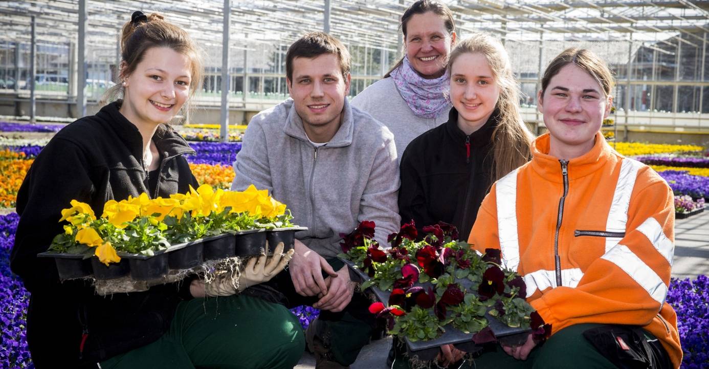  Die Mitarbeiter des Gartenamtes bei der Präsentation der Frühlingsblumen. 