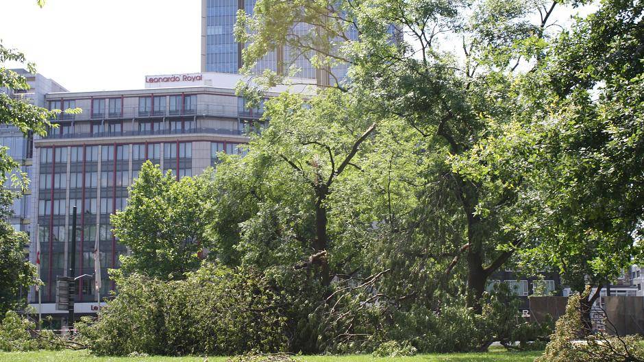 Hier sind die Grünanlagen am Graf-Adolf-Platz von umgestürzten Bäumen...